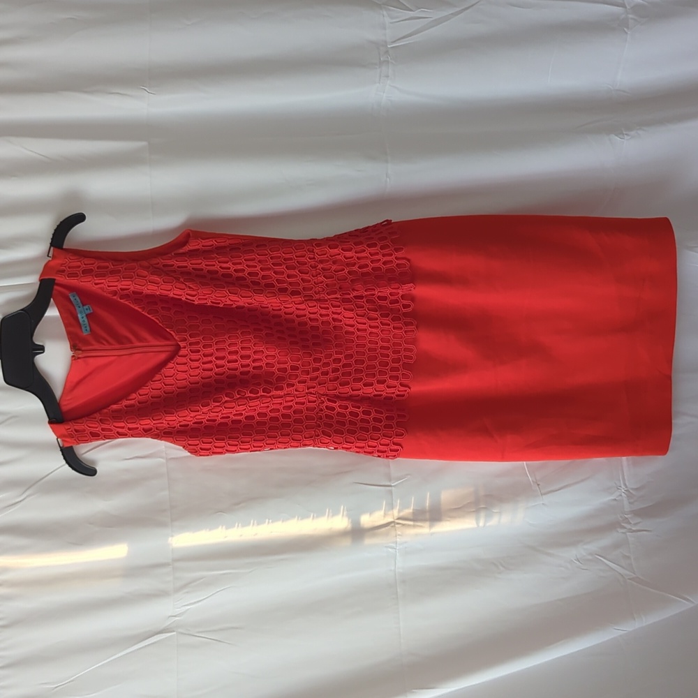 Antonio Melani Burnt Orange Dress